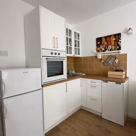 Ninino * 贝尔格莱德